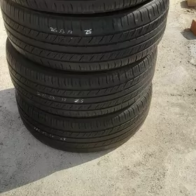 pakrişga 215 55 17 ýyly 25