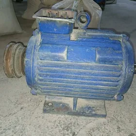 Elektro Dwigitel mator