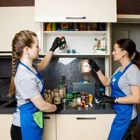 ЖЕНЩИНЫ ДЛЯ УБОРОК