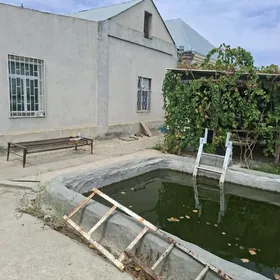 Baherden plan 16 sotyk