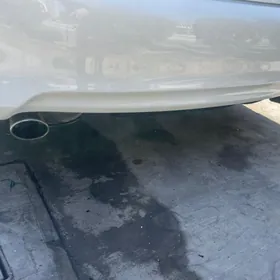 aziyada palta glushytel cep t