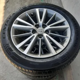 2014 Haliji karolla Radnoý 16