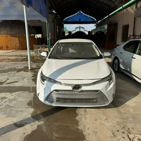 Toyota Corolla 2024