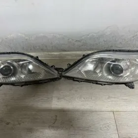 fara sienna 2018 2020