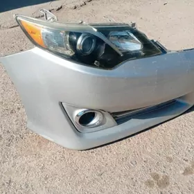 тайюта кемірі палта ес