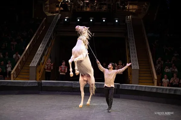 Государственный цирк Туркменистана готовит новое шоу для детей к празднику Новруз