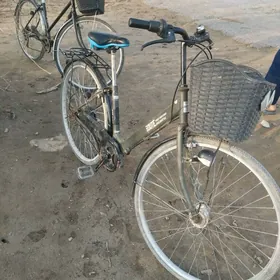 wwelik27&6,&2sanu we28&6skor