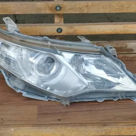 fara palta kemry sag tarap Tai