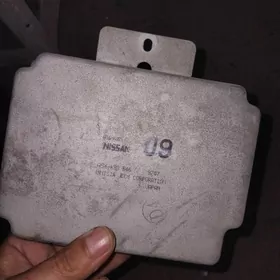 sunny kampyter nissan