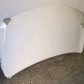 korolla kapot argynal