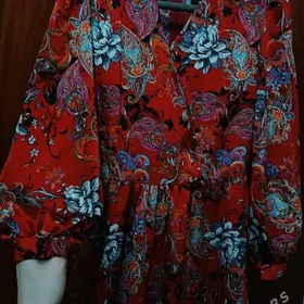 caga zenan koynekler