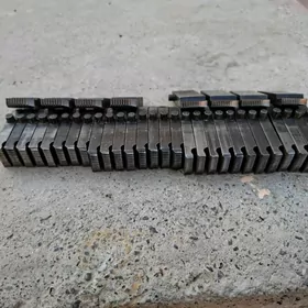 rezbe yasayan nasatga