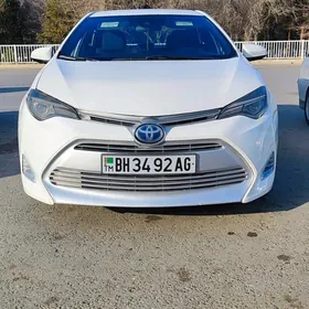 Toyota Corolla 2017