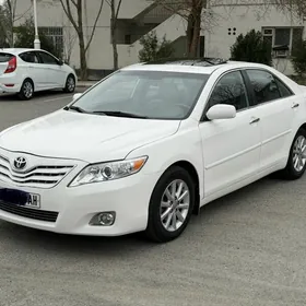 Toyota Camry 2010