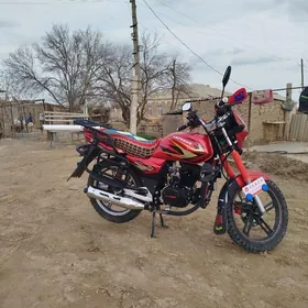 Fekon FK200-14G 2026