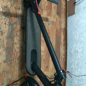 samokat skutr ussa sigwey