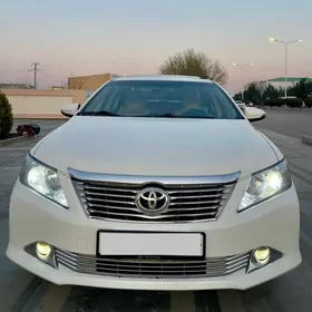Toyota Aurion 2013