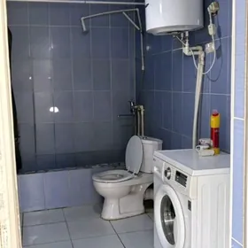 chogonly kopriden chep tarap