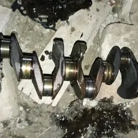 wersa 1.8 diwitil zapcas