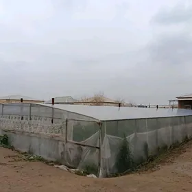 Ýyladyşhana (Parnyk)