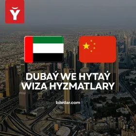 Dubaý Hytaý WIZA