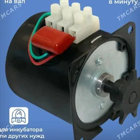 Inkubatoryň ätiýaçlyk şaýlary