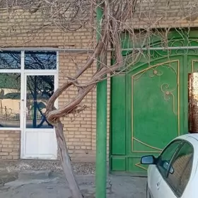 Kvartira za most pes jay