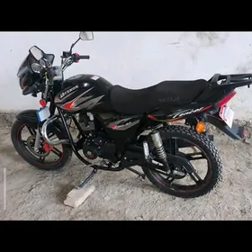 Fekon FK200-14G 2009