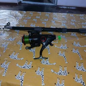 balyk tutulyan 12 şarykly..