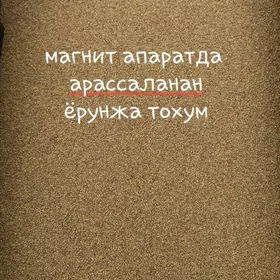 Ýorunja tohum Ёрунжа тохум