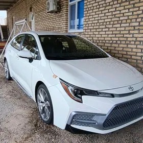 Toyota Corolla 2021