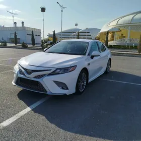 Toyota Camry 2020