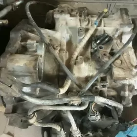 koropka 2 lik toyota karona