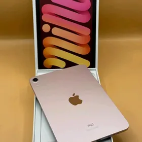 iPad Mini 6