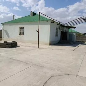 гокдепе хурмант елитка