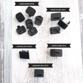 SKOROST RICAK KNOPKA GAPAK