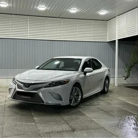 Toyota Camry 2020