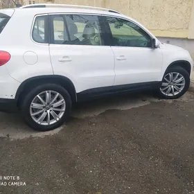 Volkswagen Tiguan 2010