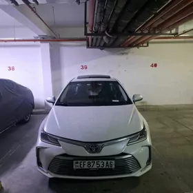 Toyota Corolla 2021