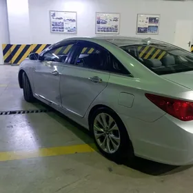Hyundai Sonata 2010