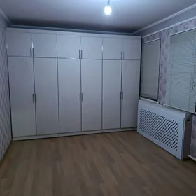 Coganly Arkac kotej...