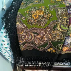 Gadymy yun gynachlar yalyklar