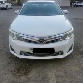 Toyota Camry 2013