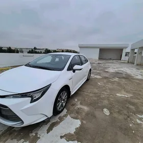 Toyota Corolla Hybrid 2023