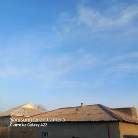 jaý agac 60 strapile 44 teje