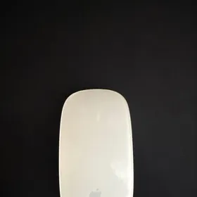 Apple magic mouse
