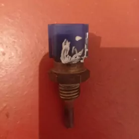 Nissan Maxima gök datjik