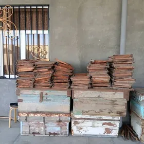 Бал  Ары Яшиклер