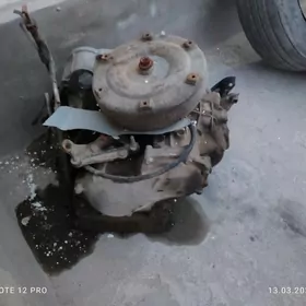 carona karopga zavatskoy rol