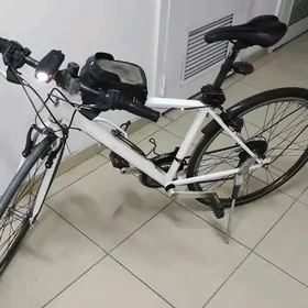 Tigir Orginal Spartiwnyy